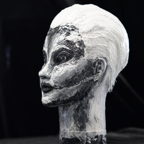 Vibrant Crime Arts Innocuously InsidiousAcrylic Mannequin HeadVibrant Crime Arts
