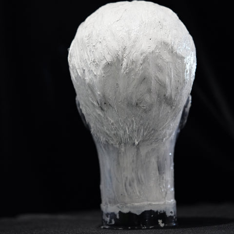 Vibrant Crime Arts Innocuously InsidiousAcrylic Mannequin HeadVibrant Crime Arts